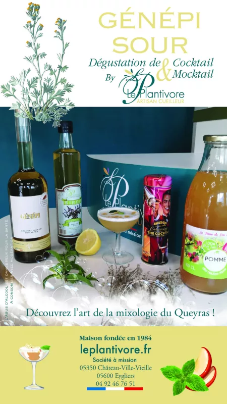Génépi Sour