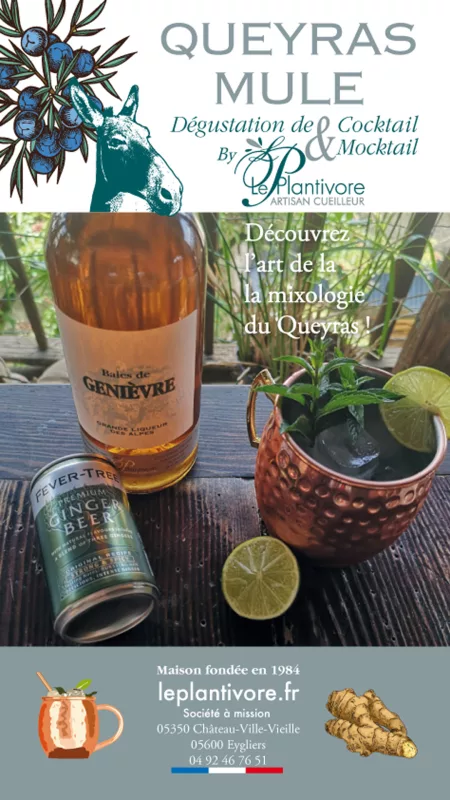 Queyras mule